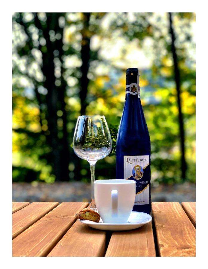 Chatynki Premium W Krynicy Krynica Zdroj Buitenkant foto