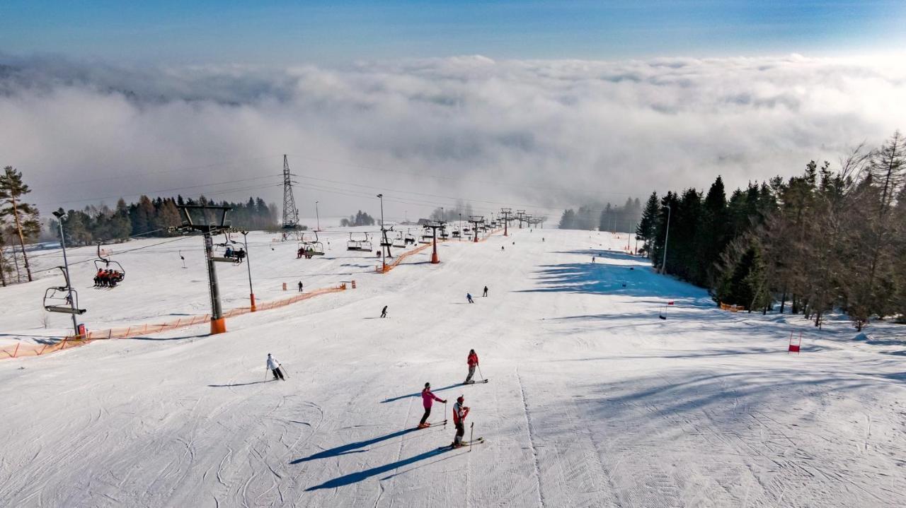 Chatynki Premium W Krynicy Krynica Zdroj Buitenkant foto